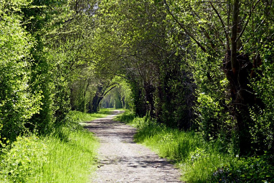chemin rural