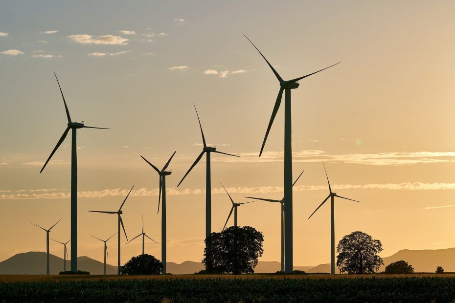 éolien : raison impérative d’intérêt public et autorisation unique pour la construction et l’exploitation d’un parc éolien, quelques apports du Conseil d’Etat